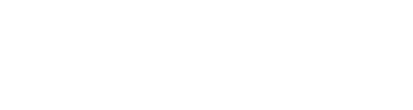 Estudio Bravo